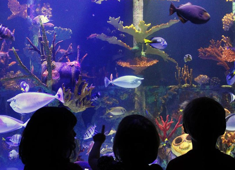 Great Lakes Aquarium