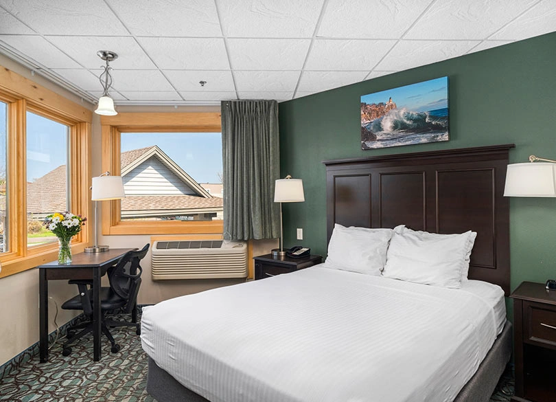 Single Queen Family Suite